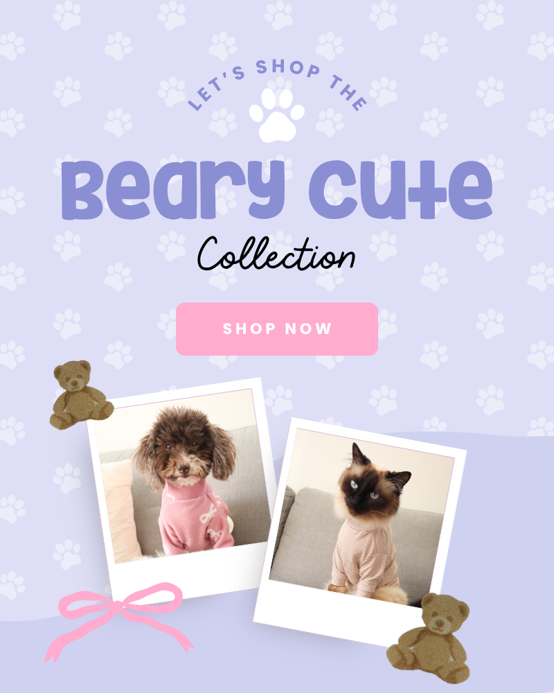 Beary Cute