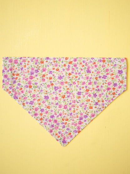Mini Meadow Over the Collar Bandana
