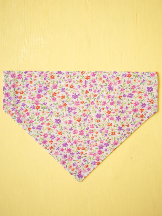 Mini Meadow Over the Collar Bandana