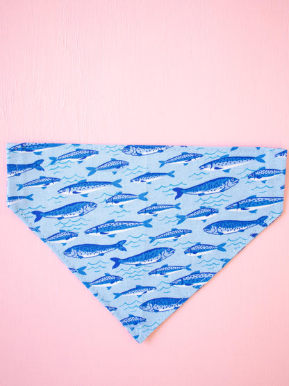 Swim Squad Over the Collar Bandana