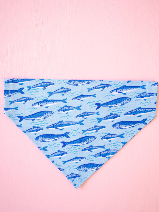 Swim Squad Over the Collar Bandana