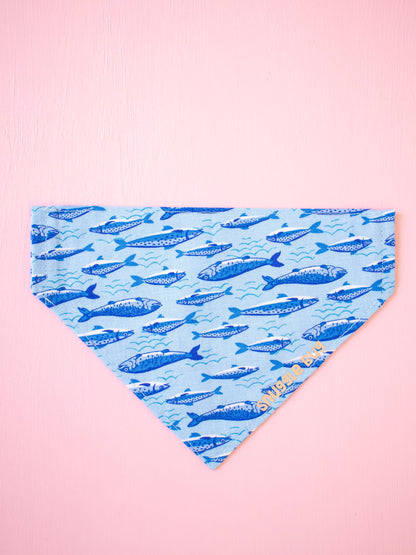 Swim Squad Over the Collar Bandana