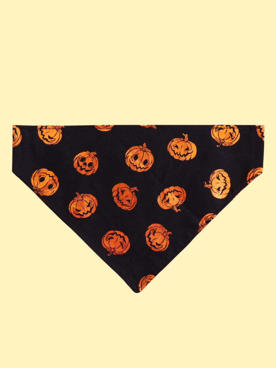 Pumpkin Party Over the Collar Bandana
