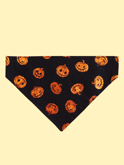 Pumpkin Party Over the Collar Bandana
