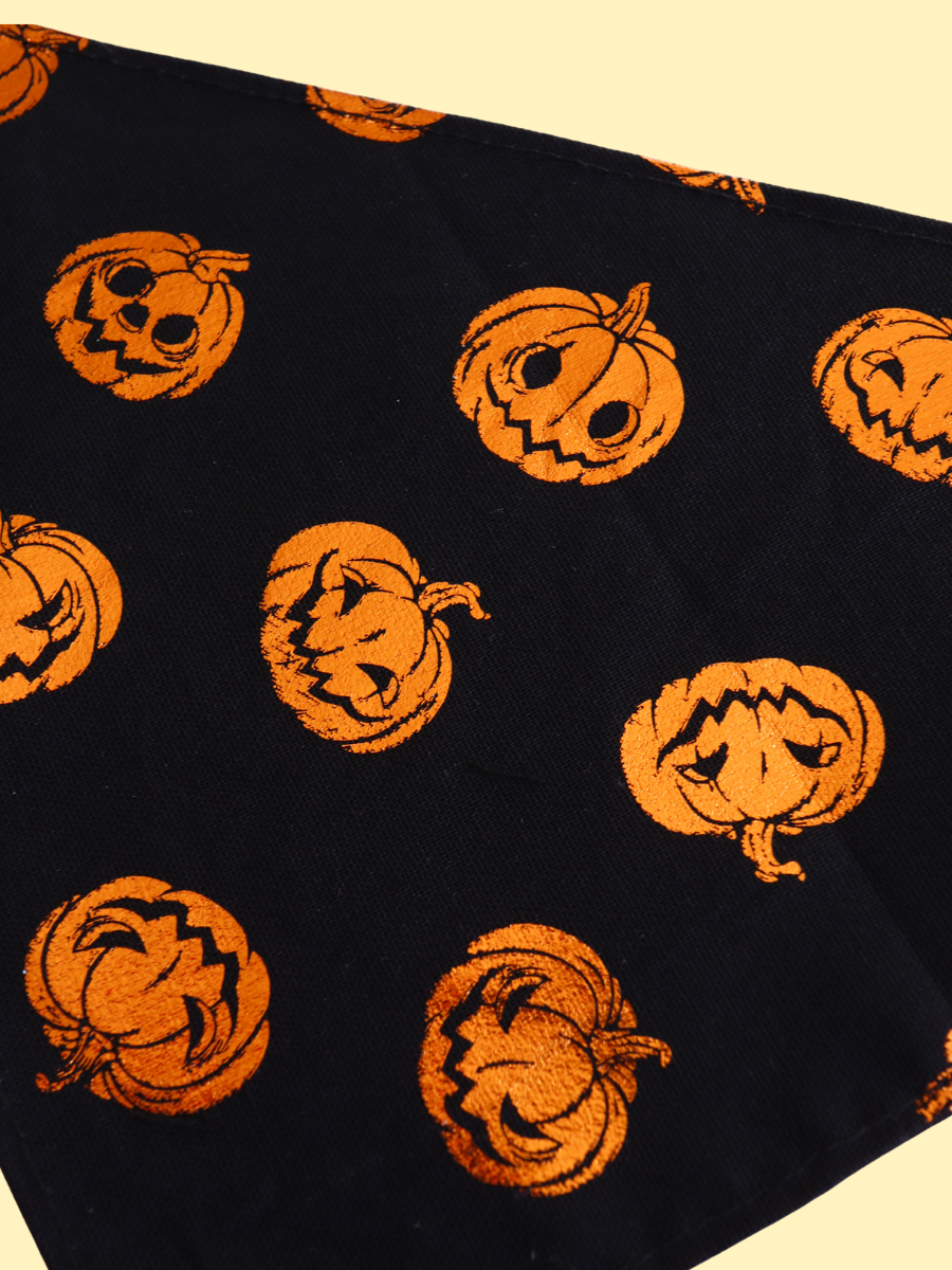 Pumpkin Party Over the Collar Bandana