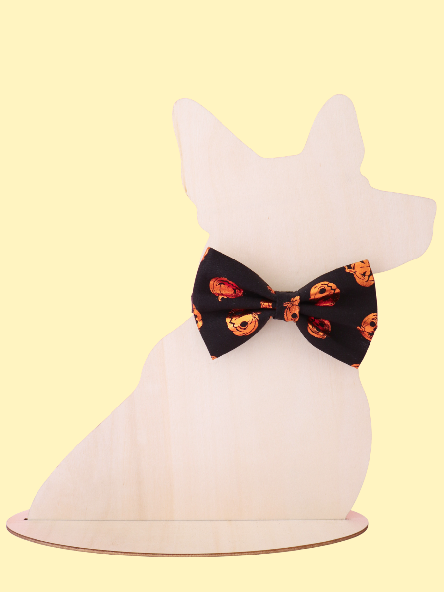 Pumpkin Party Pet Bow Tie