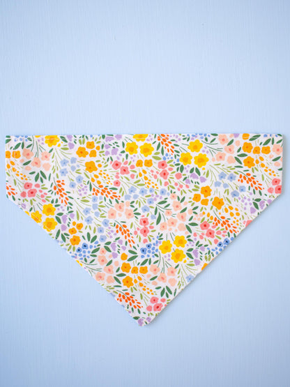 Golden Hour Garden Over the Collar Bandana