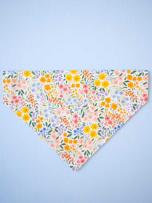 Golden Hour Garden Over the Collar Bandana
