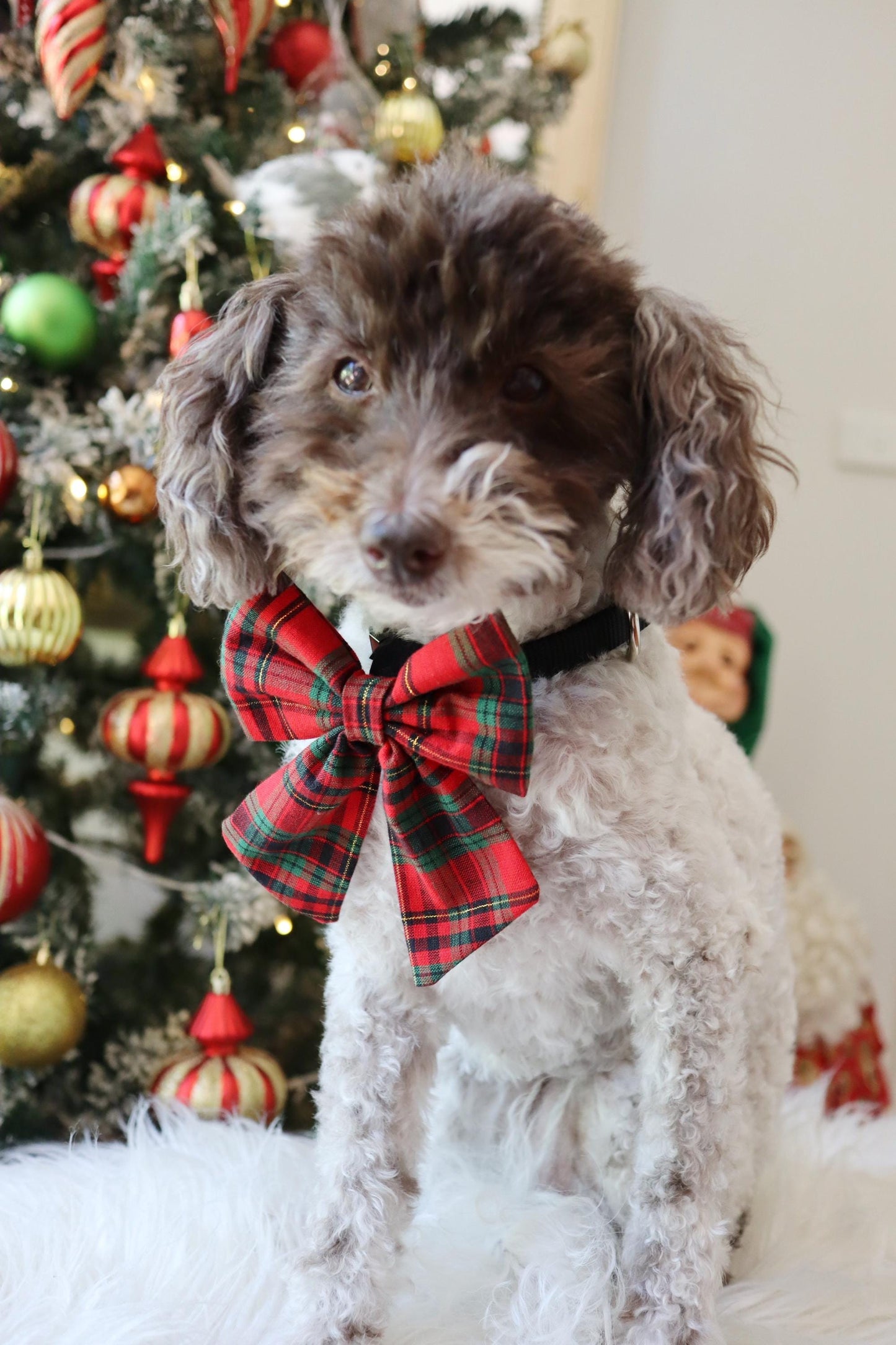 Classic Tartan Pet Sailor Bow