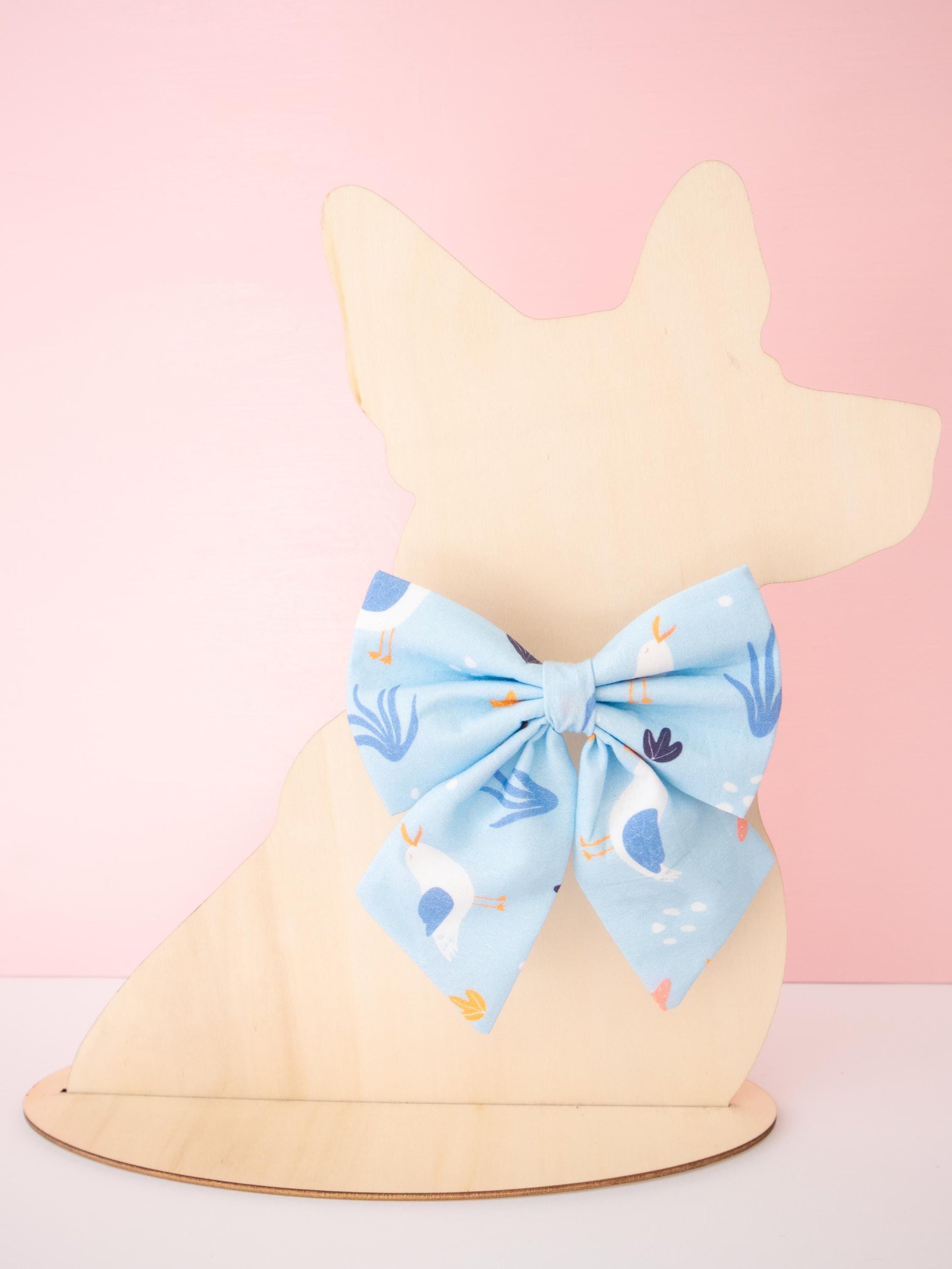 Dog model with a blue bow on a pink background