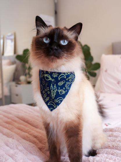 Cat wearing a blue bandana with green patterns on a bed