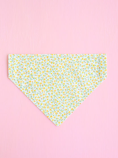 Buttercup Bloom Over the Collar Bandana