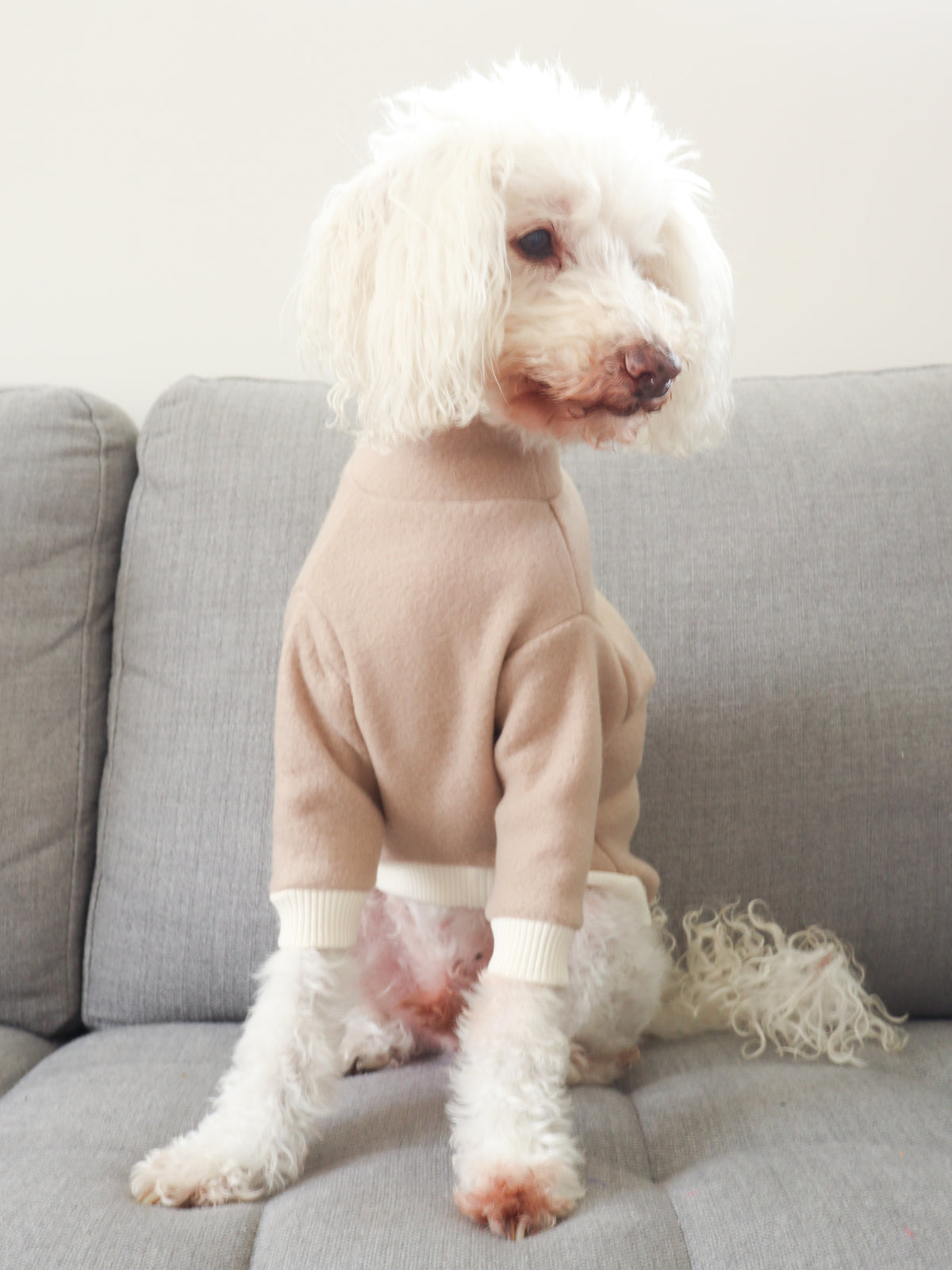 Teddy Fleece Pet Jumper