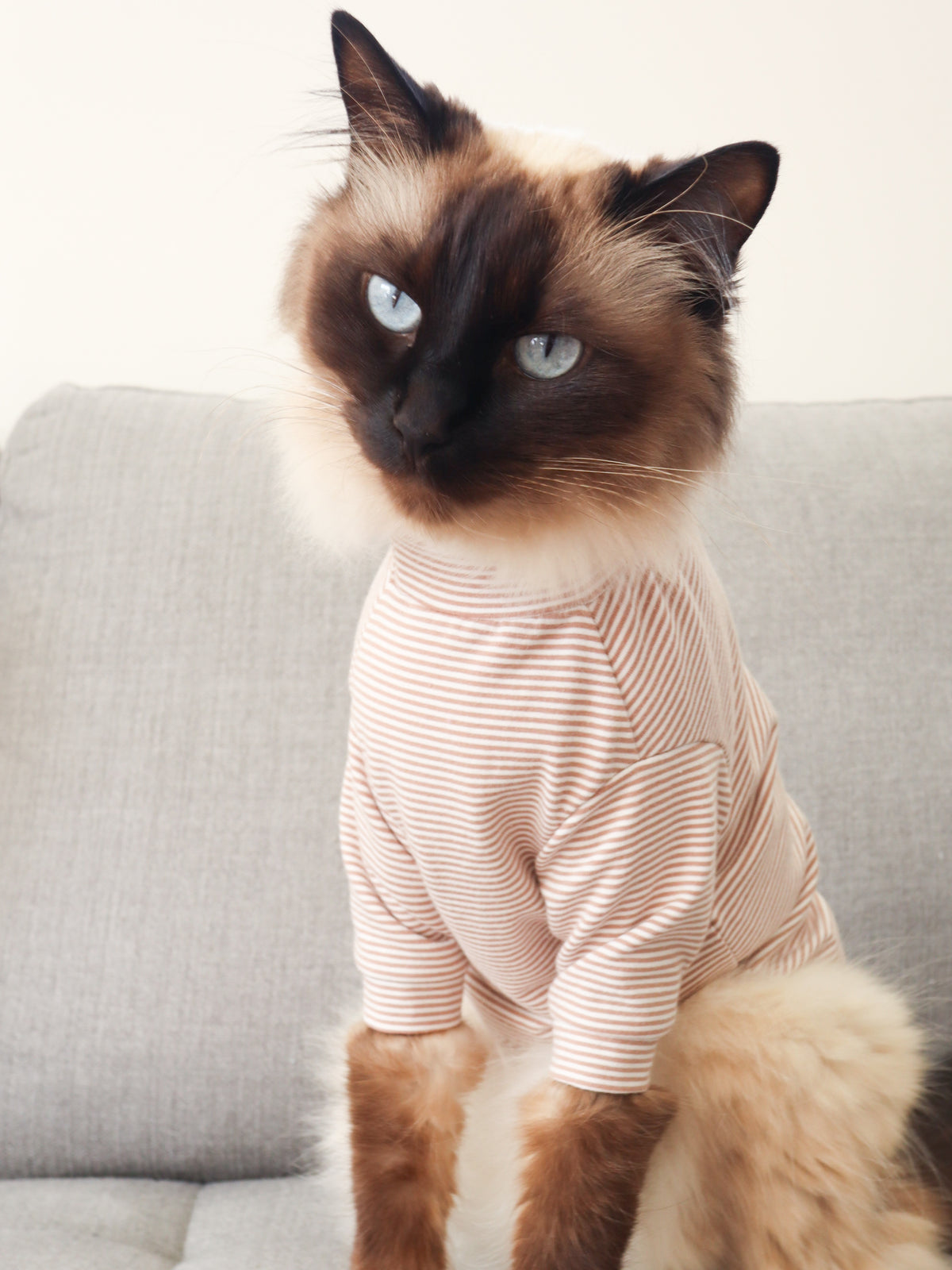 Beary Brown Stripe Long Sleeve Pet Shirt