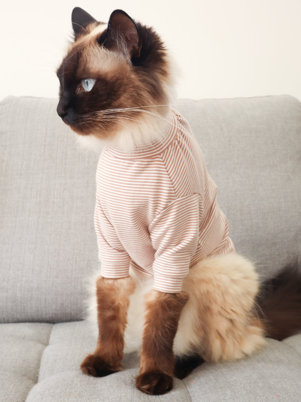 Beary Brown Stripe Long Sleeve Pet Shirt