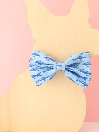 Swim Squad Pet Bow Tie