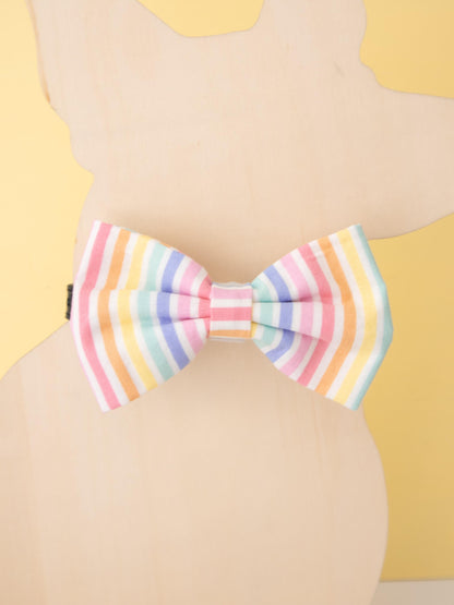 Pastel Rainbow Stripe Pet Bow Tie